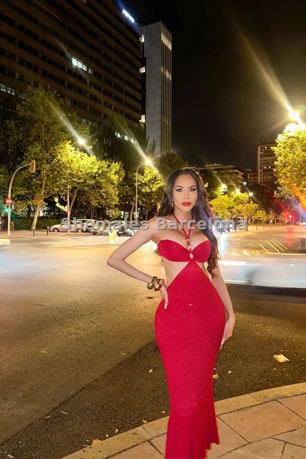 Foto de Barbie - 7